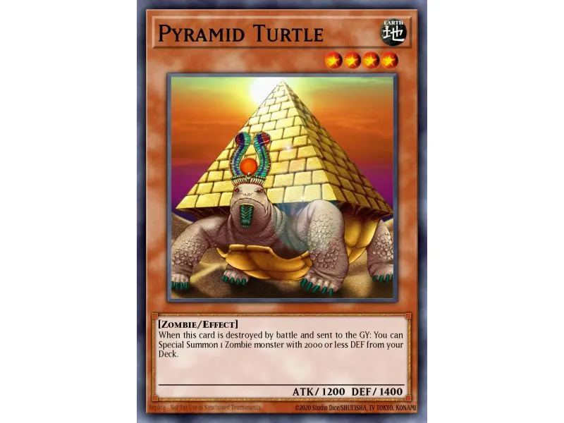 Pyramid Turtle (Common)