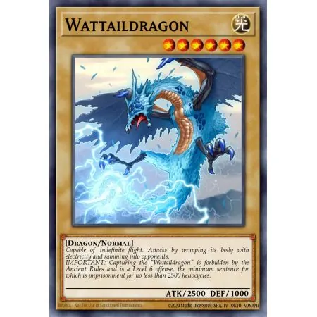 Wattaildragon (Common)