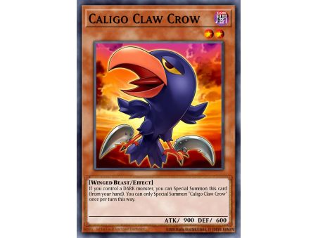 Caligo Claw Crow (Common)
