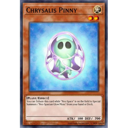 Chrysalis Pinny (Common)