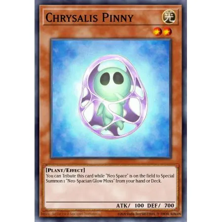 Chrysalis Pinny (Common)