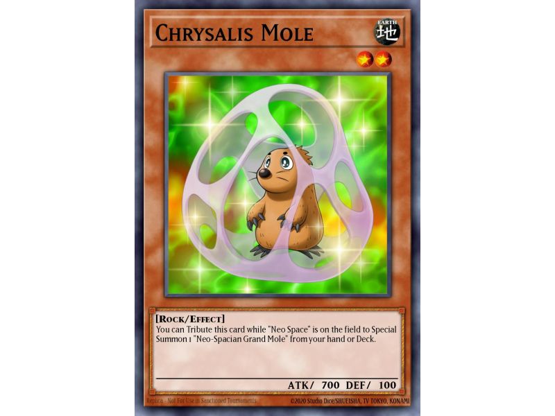 Chrysalis Mole (Common)