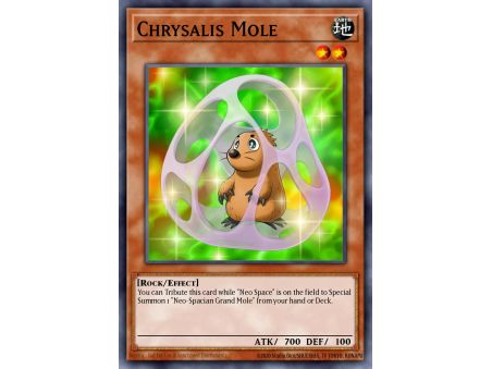 Chrysalis Mole (Common)