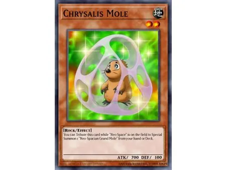Chrysalis Mole (Common)
