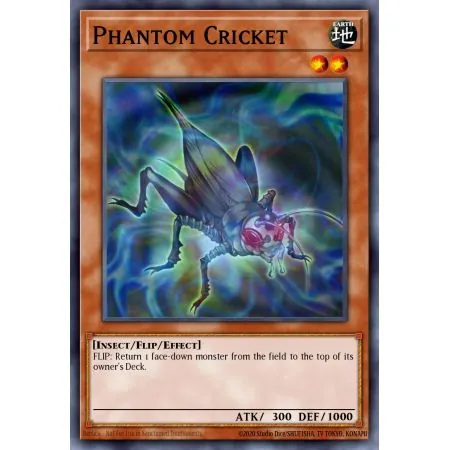 Phantom Cricket (Common)