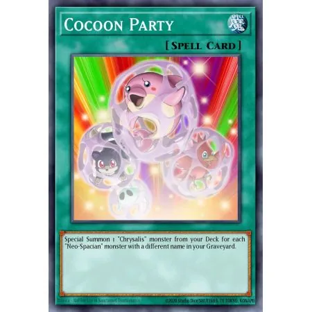 Cocoon Party (Common)
