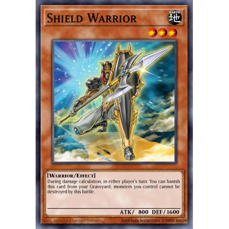 Shield Warrior (Rare)