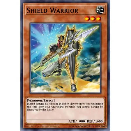 Shield Warrior (Rare)