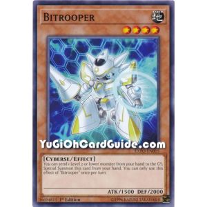 Bitrooper