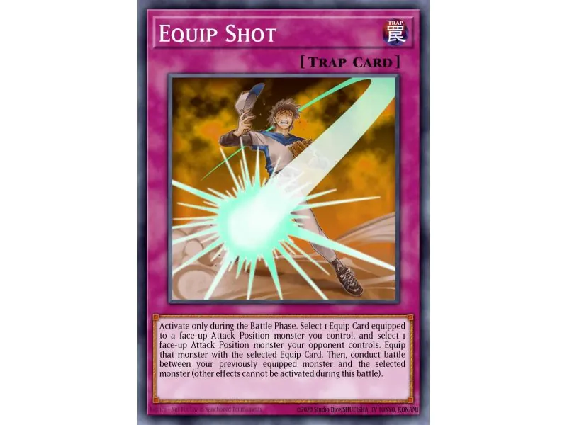 Equip Shot (Common)