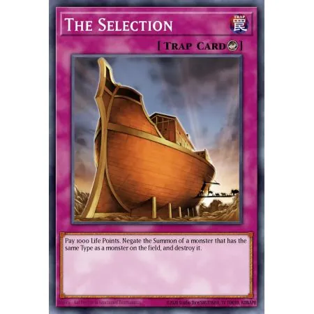 The Selection (Rare)