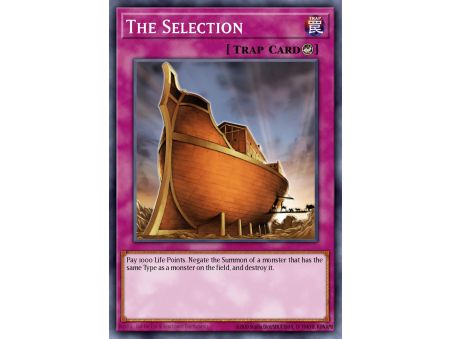 The Selection (Rare)