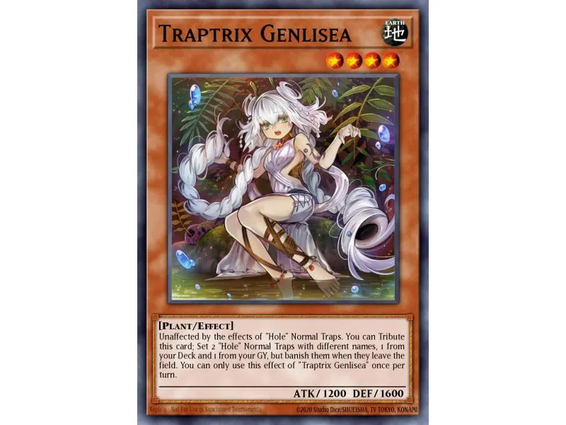 Traptrix Genlisea (Common)