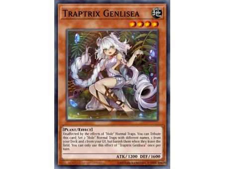 Traptrix Genlisea (Common)