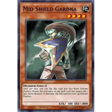 Mid Shield Gardna (Rare)