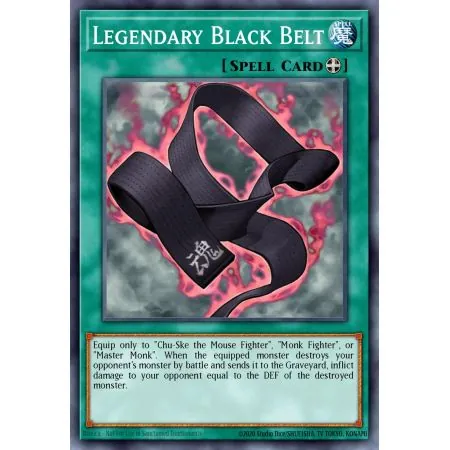 Legendary Black Belt (Rare)