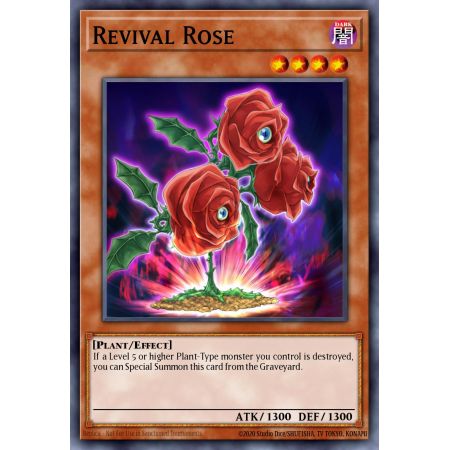 Revival Rose (Rare)