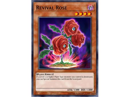 Revival Rose (Rare)