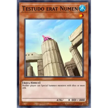 Testudo erat Numen (Short Print)