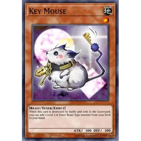 Key Mouse (Common)