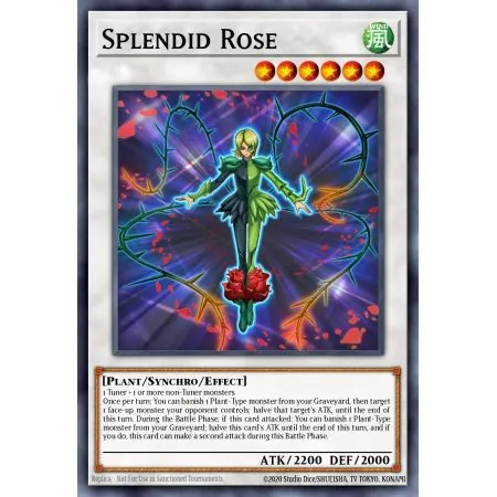 Splendid Rose (Ultimate Rare)