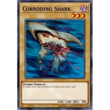 Corroding Shark (Common)