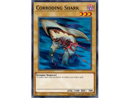 Corroding Shark (Common)