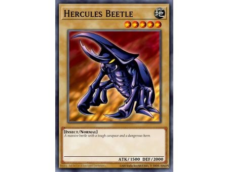 Hercules Beetle (Common)