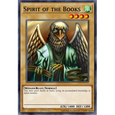 Spirit of the Books (Common)