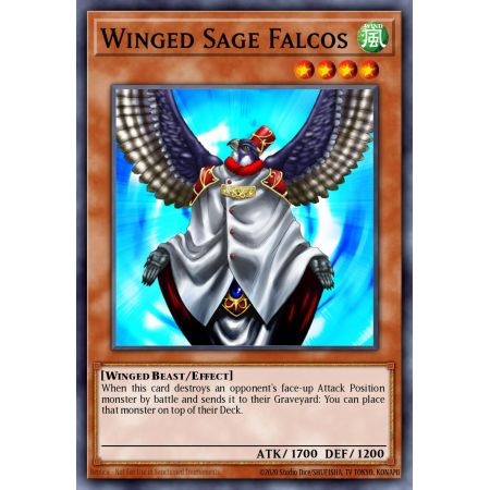Winged Sage Falcos (Common)