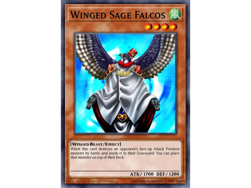 Winged Sage Falcos (Common)