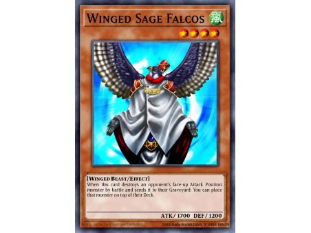 Winged Sage Falcos (Common)