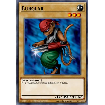 Burglar (Common)