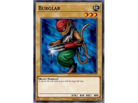 Burglar (Common)
