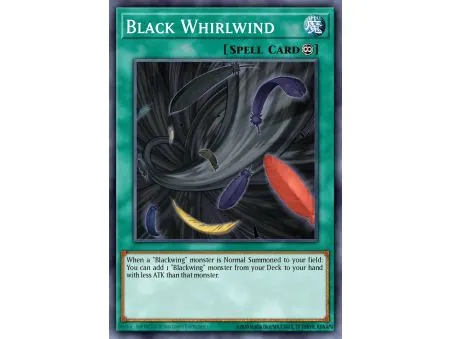Black Whirlwind (Super Rare)