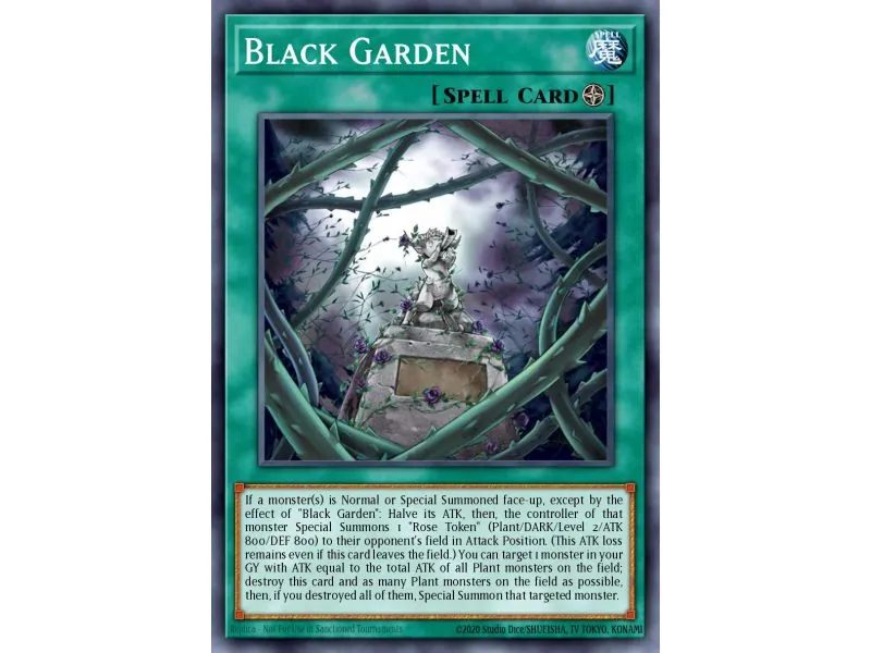 Black Garden (Rare)