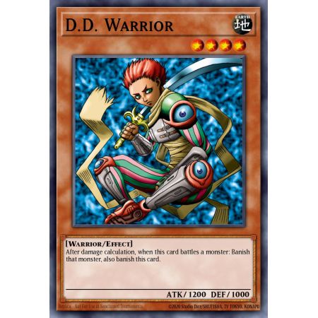 D.D. Warrior (Common)