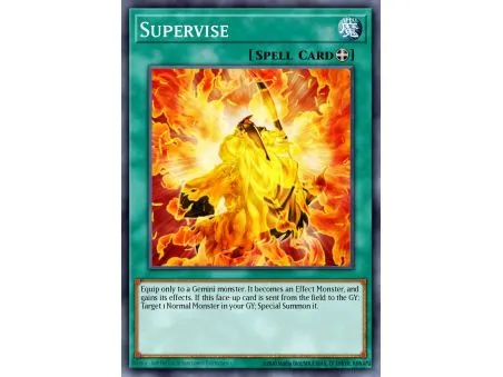 Supervise (Common)