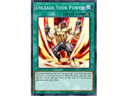 Unleash Your Power! (Common)