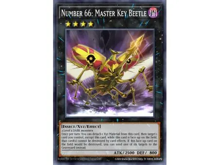 Number 66: Master Key Beetle (Common)