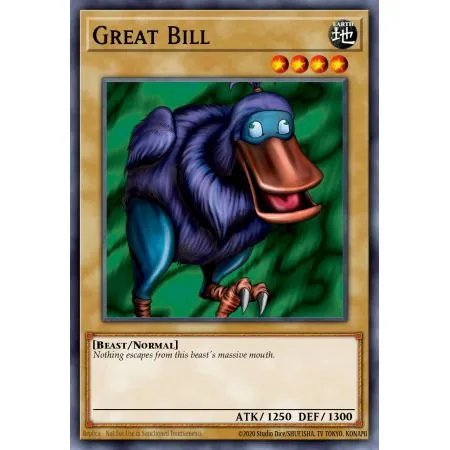 Great Bill (Rare)