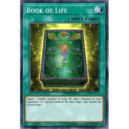 Book of Life (Common)