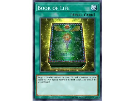Book of Life (Common)