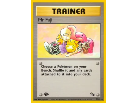 Mr. Fuji