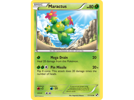 Maractus