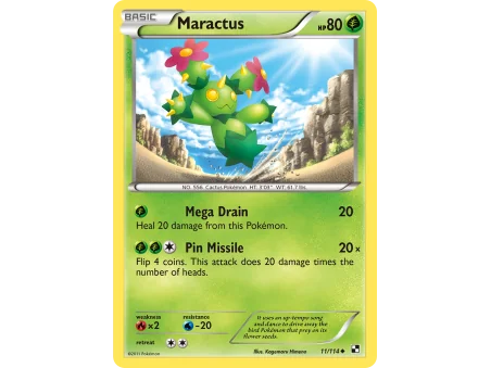 Maractus