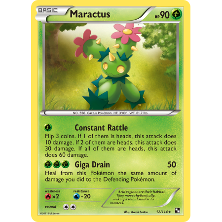 Maractus