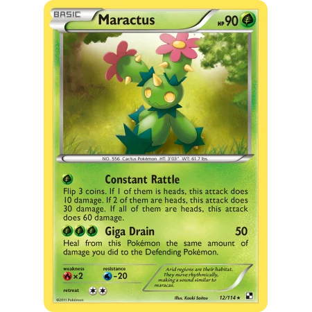Maractus