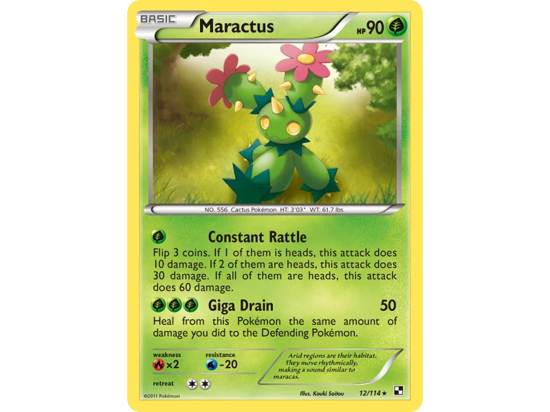 Maractus