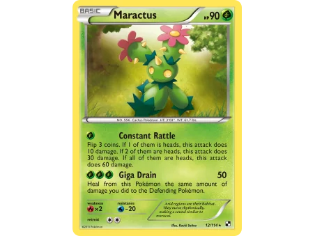 Maractus